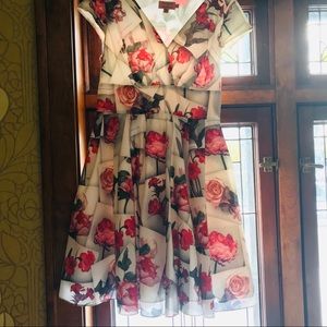 Ted Baker cocktail dress.